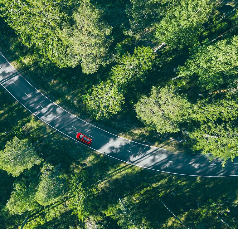 Aerial view of a red car driving through trees